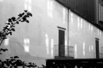Light and Shadow